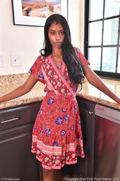 The FTV Monster The FTV Monster