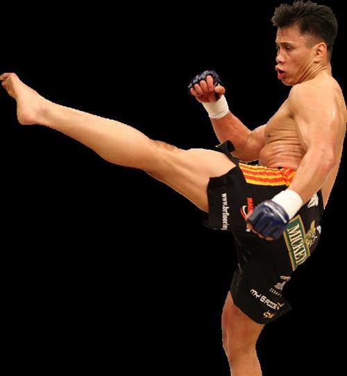 Cung Le