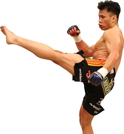 Cung Le