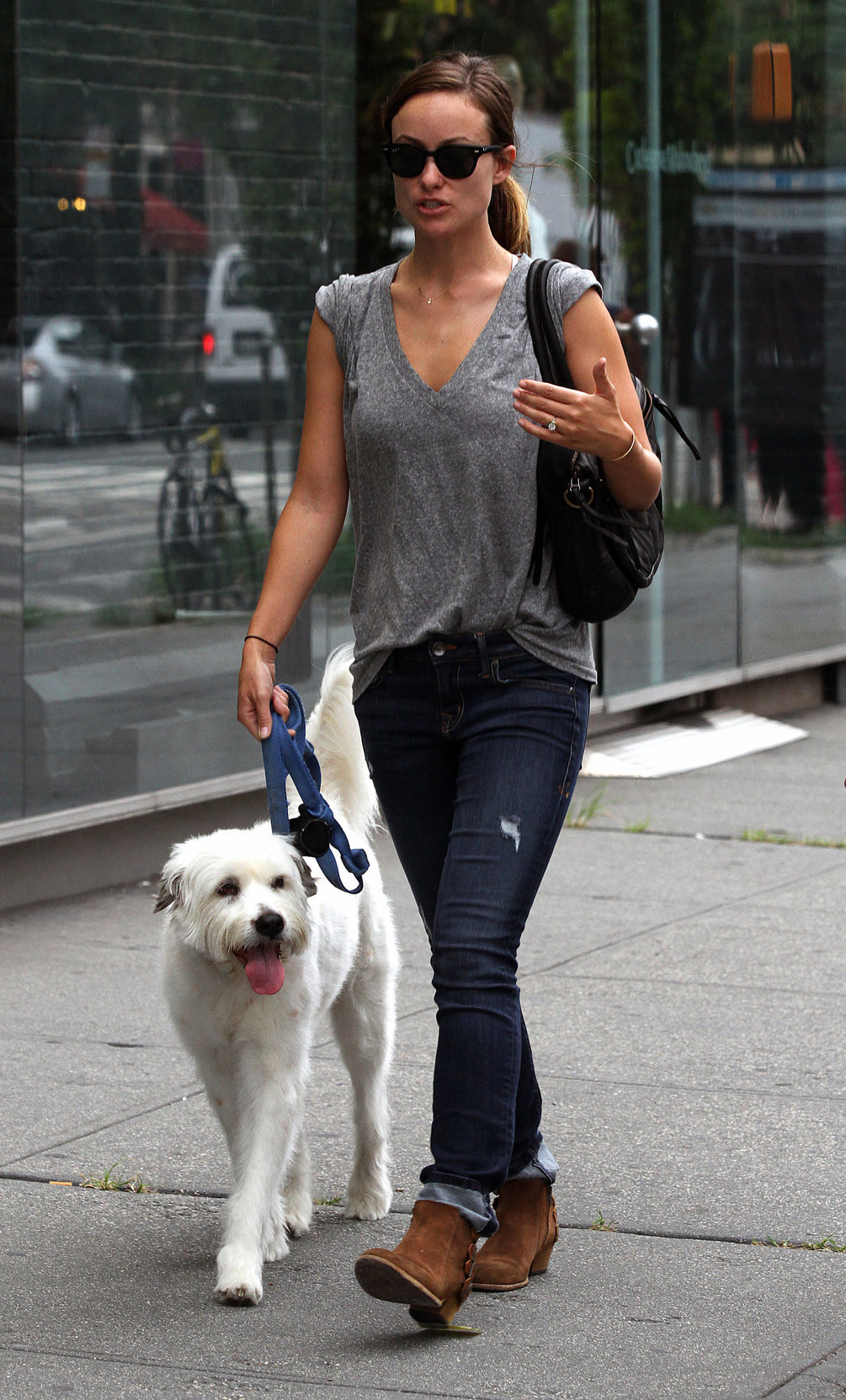 Olivia Wilde walking her dog in New York City - July 22, 2013 