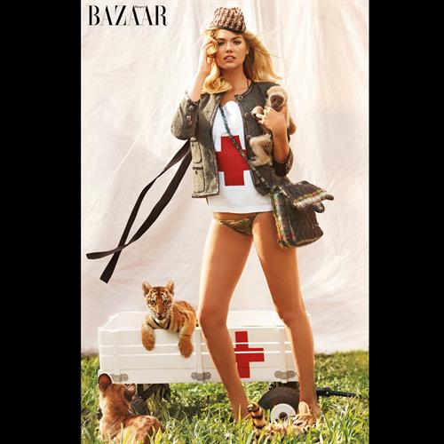 Kate Upton in a bikini