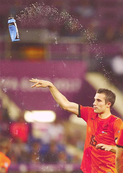 Robin Van Persie