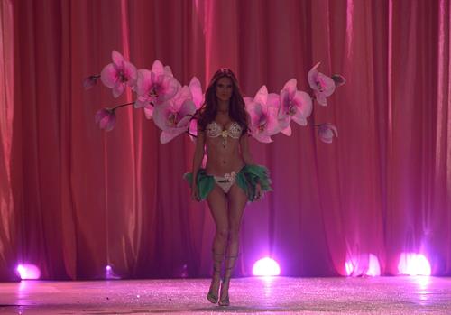 Alessandra Ambrosio in lingerie