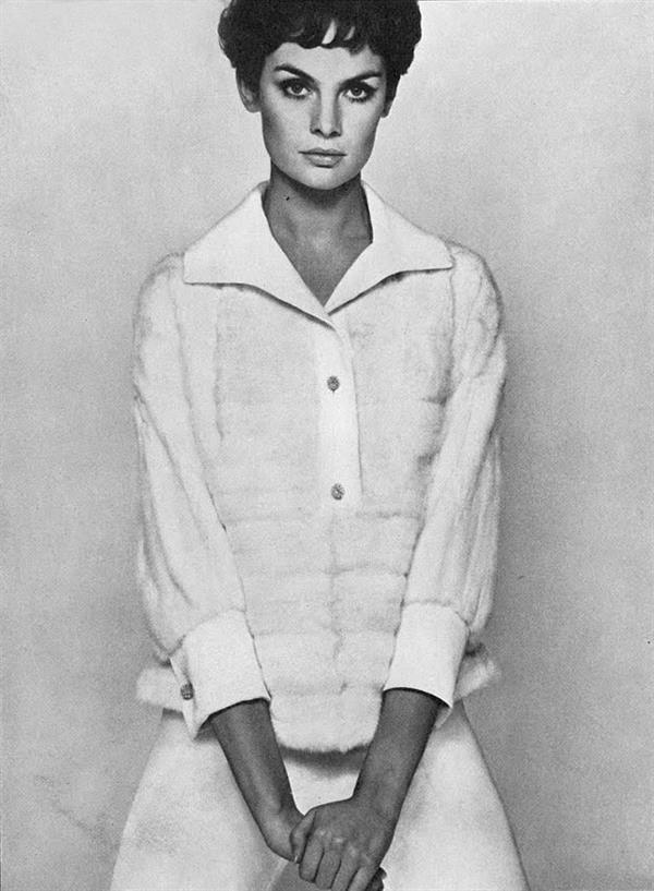 Jean Shrimpton