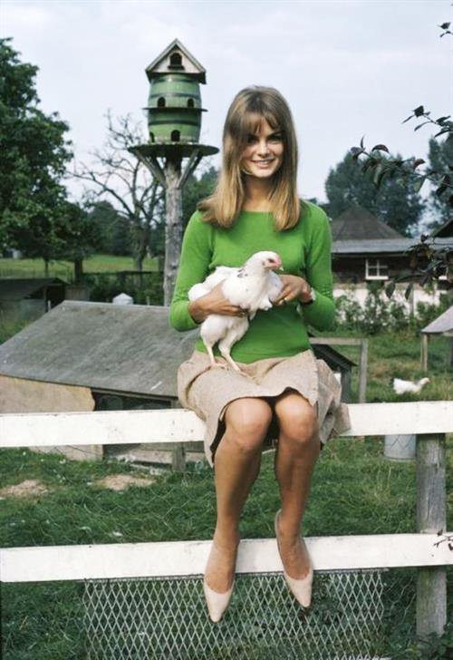 Jean Shrimpton
