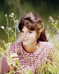 Katharine Ross