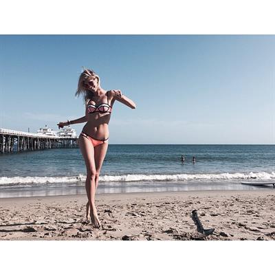 Devon Windsor in a bikini