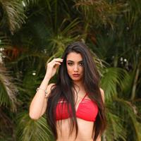 Katie Daly in a bikini