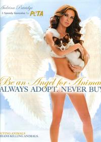 Audrina Patridge in lingerie