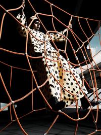 Alyssah Ali in a bikini