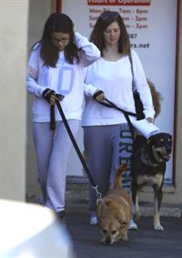 Selena Gomez taking her dogs to a Veterinary Clinic in Encino, November 24, 2012 