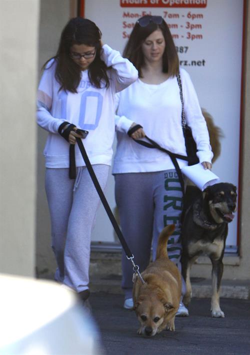 Selena Gomez taking her dogs to a Veterinary Clinic in Encino, November 24, 2012 