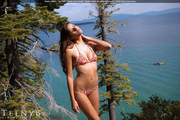 Vanessa Hanson in a bikini