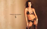 Karen McDougal in lingerie