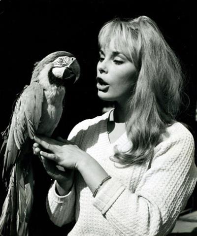 Elke Sommer