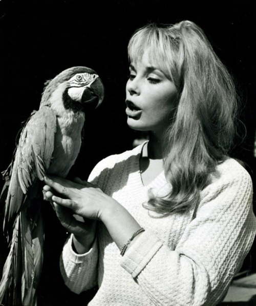 Elke Sommer