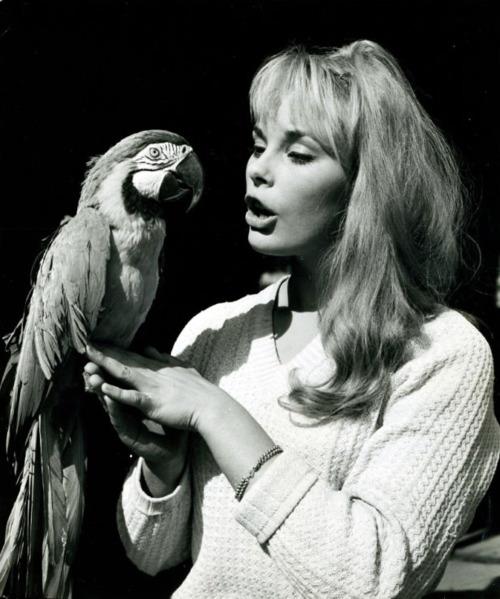 Elke Sommer