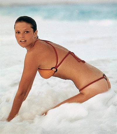 Christie Brinkley in a bikini - ass