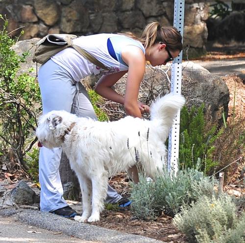 Olivia Wilde walking her dog in the Hollywood Hills on June 24, 2011