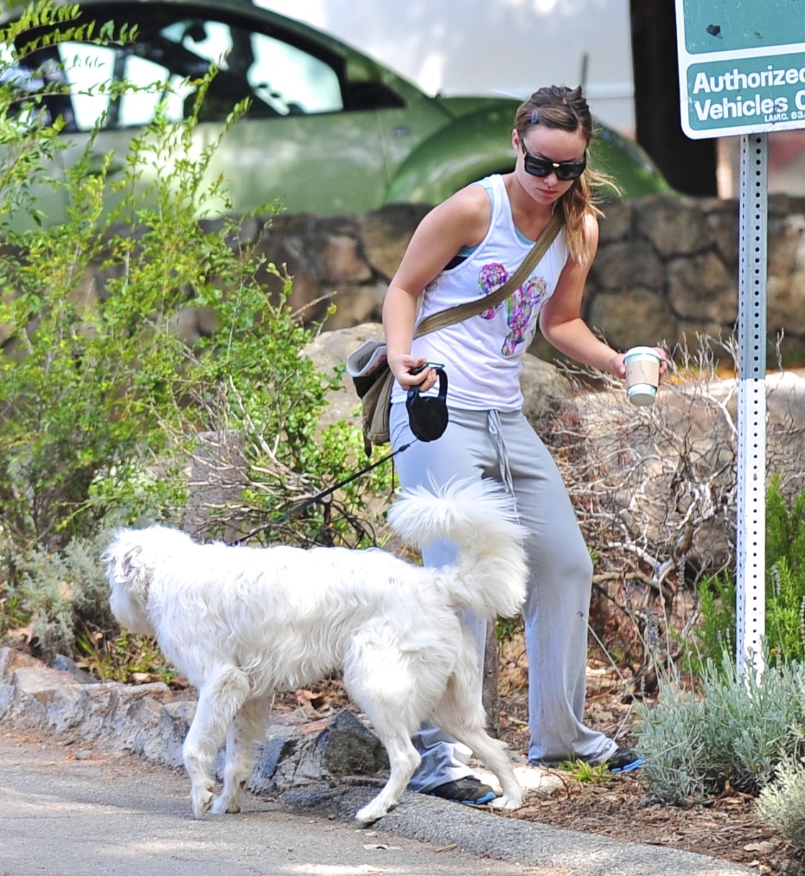 Olivia Wilde walking her dog in the Hollywood Hills on June 24, 2011