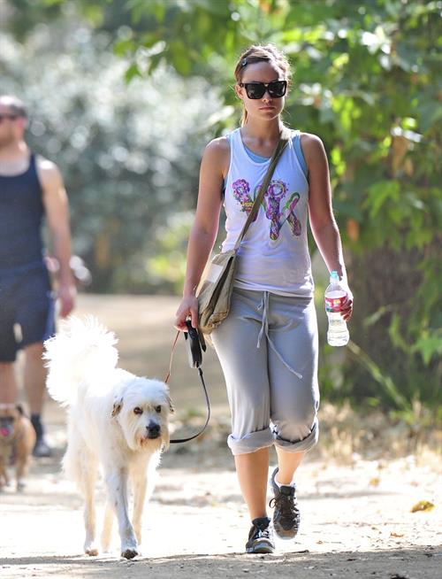 Olivia Wilde walking her dog in the Hollywood Hills on June 24, 2011
