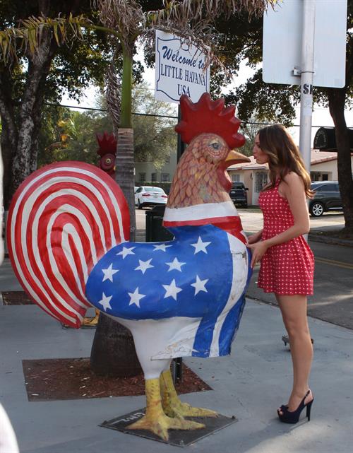 Kelly Brook - New Look Photoshoot In Miami February 4, 2013 