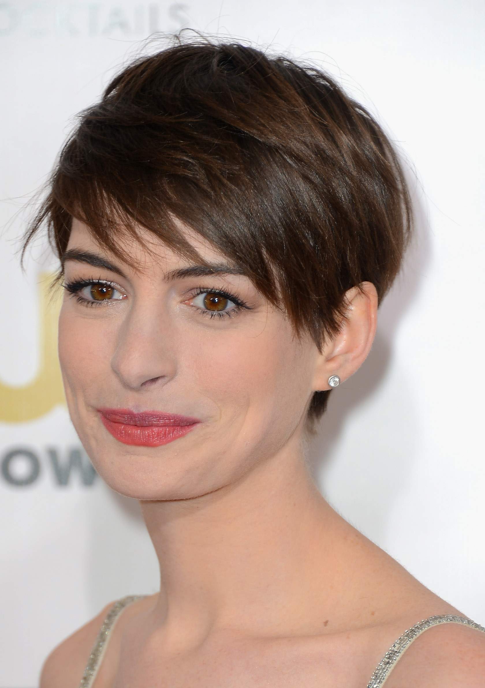Anne Hathaway attends the Critics' Choice Movie Awards 2013 with Skinnygirl Cocktails at Barkar Hangar