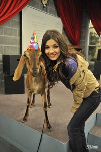 Victoria Justice Victorious Season 3-Episode 8 'April Fools' Blank' stills 