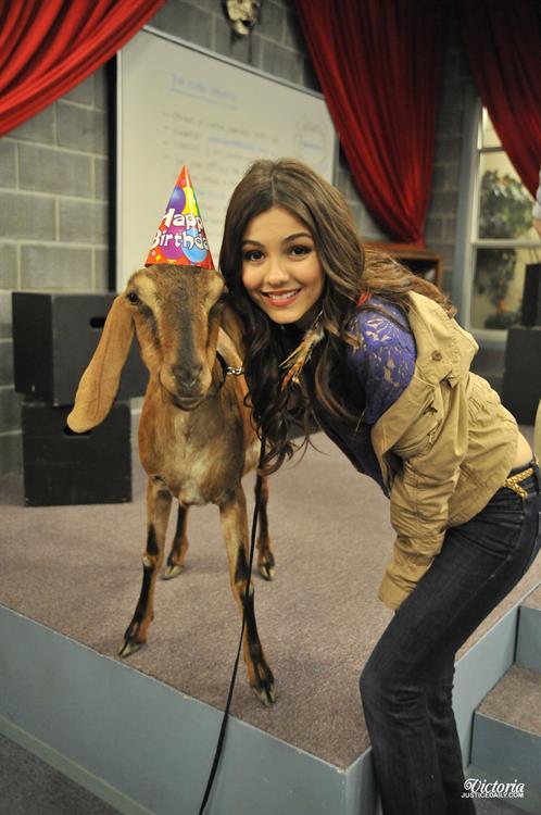 Victoria Justice Victorious Season 3-Episode 8 'April Fools' Blank' stills 