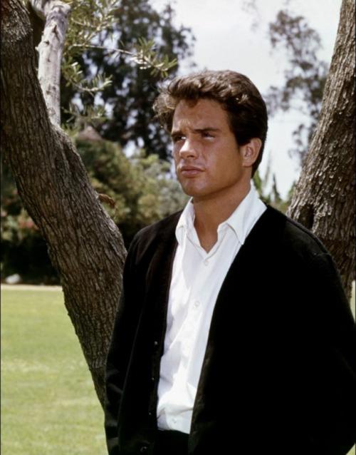 Warren Beatty