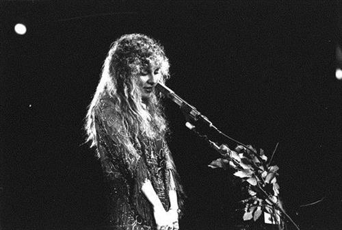 Stevie Nicks