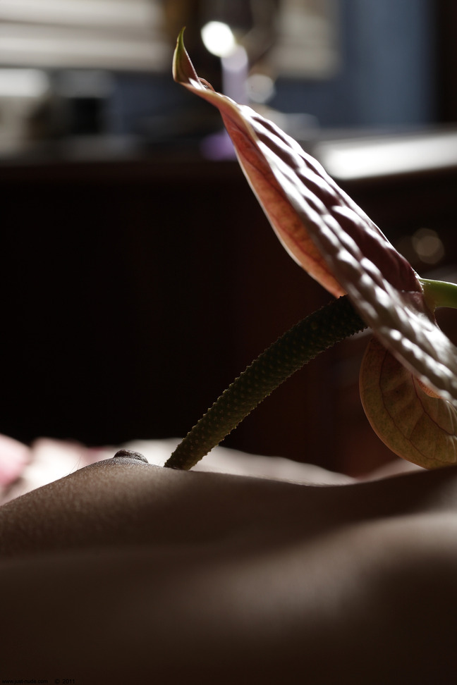 Belinda A nude poses with a flower