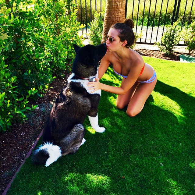 Kendall Caitlyn in a bikini