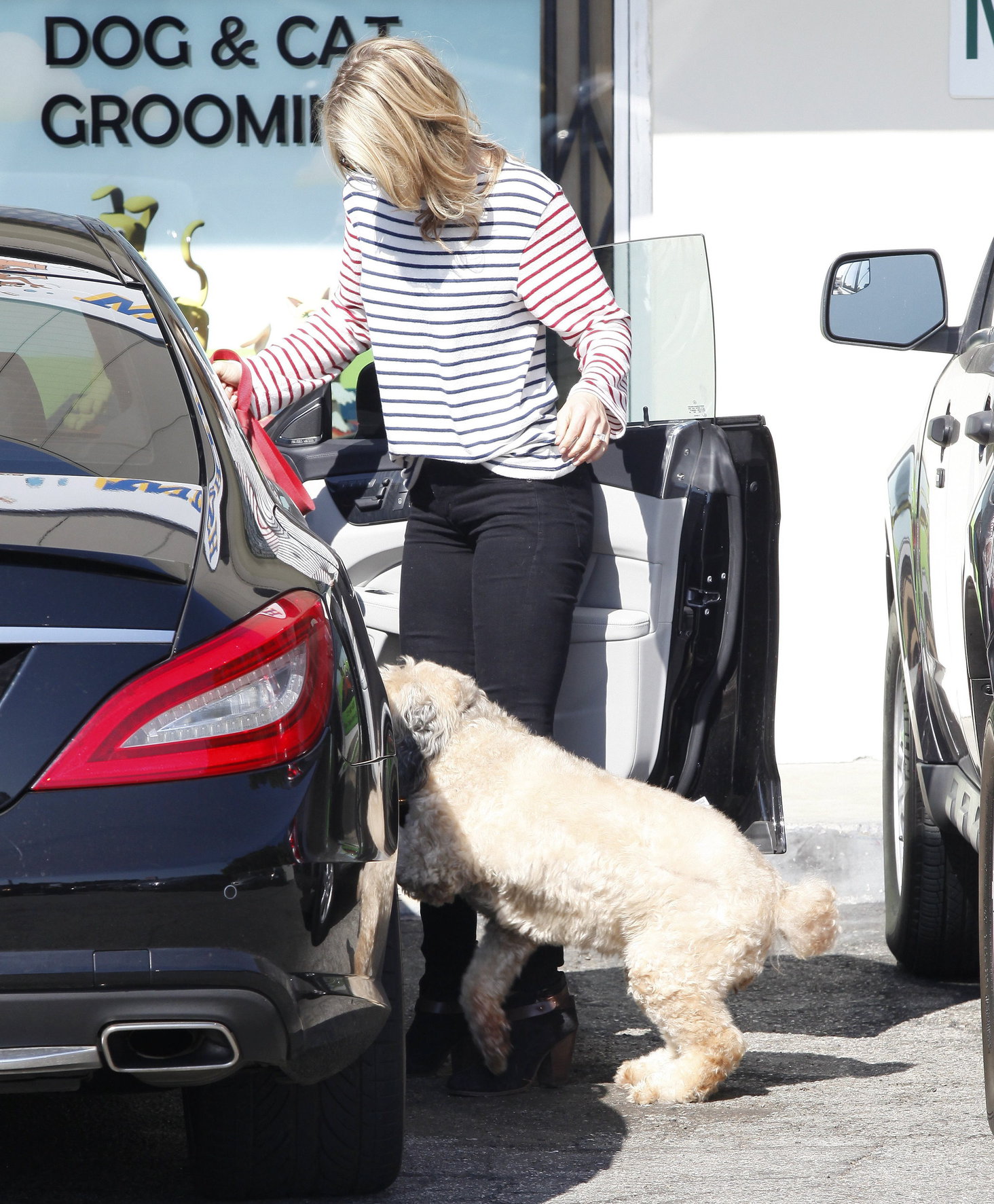 Ali Larter at the dog groomers in Los Angeles 10/22/13  