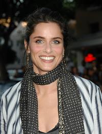 Amanda Peet at the Pineapple Express premiere in Westwood 