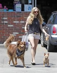 Amanda Seyfried at The Oaks Gourmet Market in Los Angeles on July 17, 2012