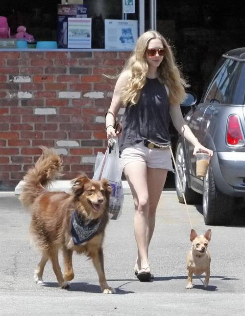 Amanda Seyfried at The Oaks Gourmet Market in Los Angeles on July 17, 2012