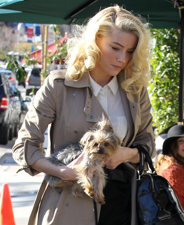 Amber Heard out in Beverly Hills on December 16, 2011