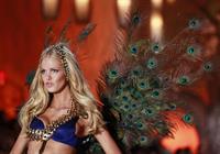 Erin Heatherton in lingerie