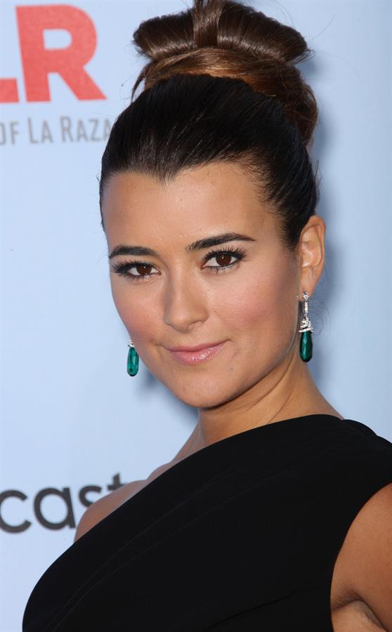 Cote de Pablo - NCLR ALMA Awards in Pasadena - September 16, 2012