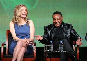 Elizabeth Mitchell NBC Universal 2013 Winter TCA Tour in Pasadena 1/6/13 