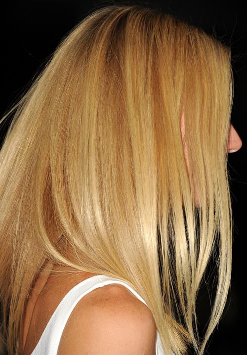 Gwyneth Paltrow  Thanks For Sharing  LA Premiere 9/16/13  