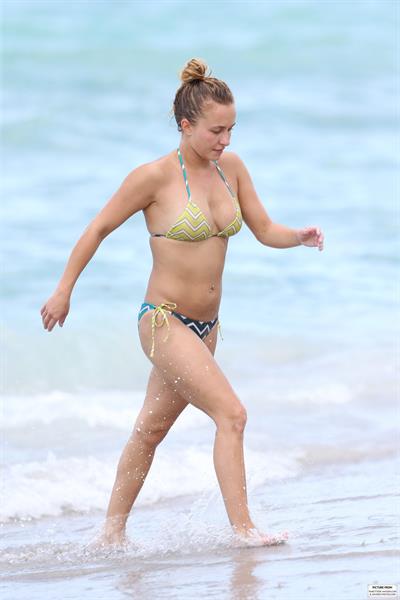 Hayden Panettiere - Bikini candids in Miami 9/1/13