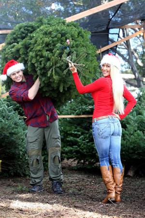 Heidi Montag Get into the festive spirit and step out to pick up a Christmas Tree on December 5, 2012