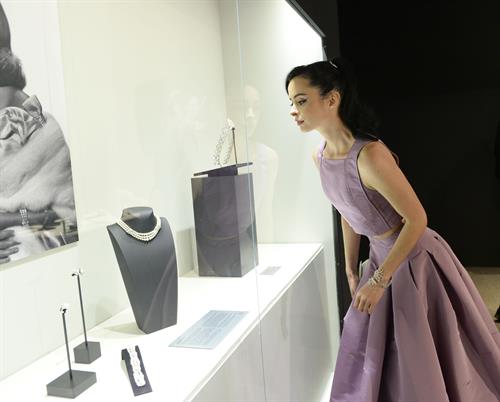 Krysten Ritter A Quest for Beauty exhibit in Santa Ana, October 26, 2013