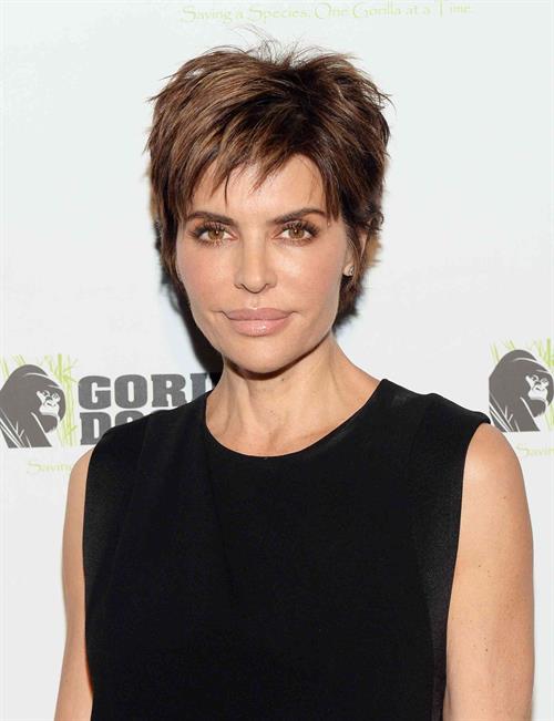 Lisa Rinna Gorilla Doctors of Africa Benefit Event (November 4, 2013) 