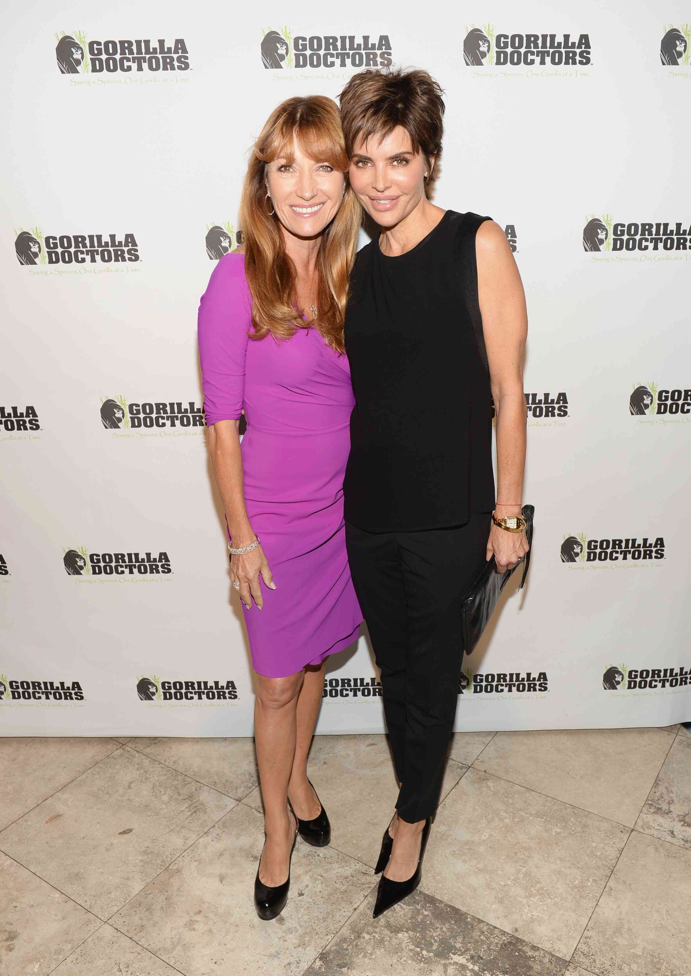 Lisa Rinna Gorilla Doctors of Africa Benefit Event (November 4, 2013) 