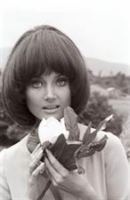 Barbara Bouchet
