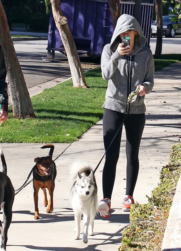 Miley Cyrus walking her dog in Studio City 1/28/13 