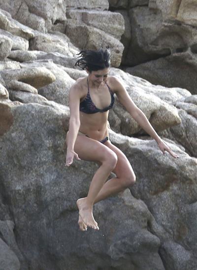 Nina Dobrev in a bikini